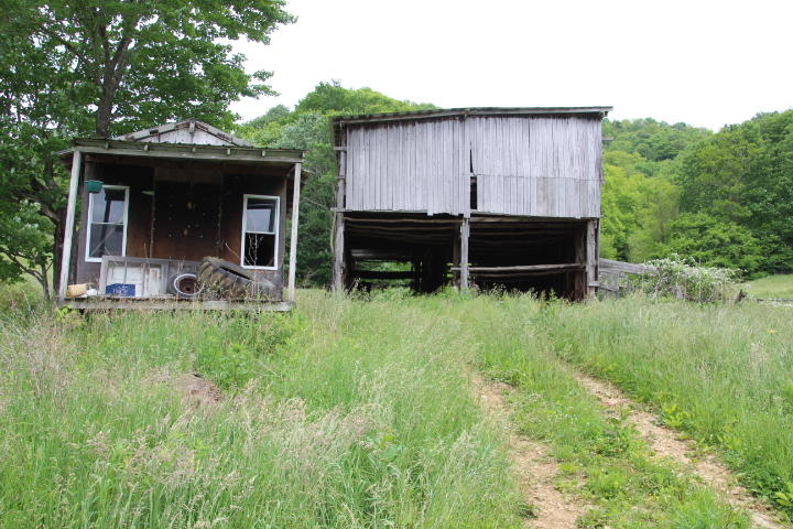 Photo #9: 912 Highway 67