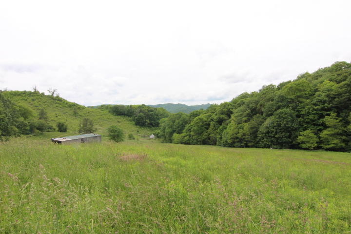 Photo #14: 912 Highway 67