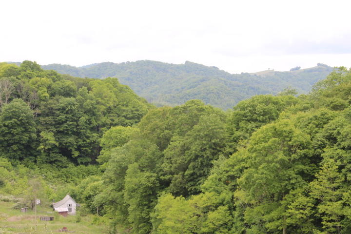 Photo #15: 912 Highway 67