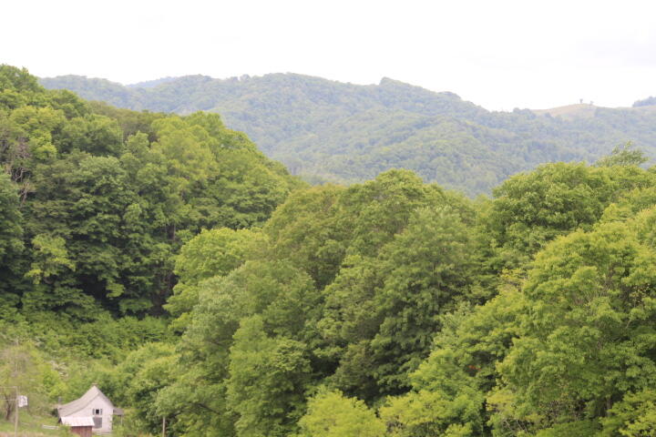 Photo #16: 912 Highway 67