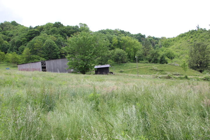 Photo #23: 912 Highway 67