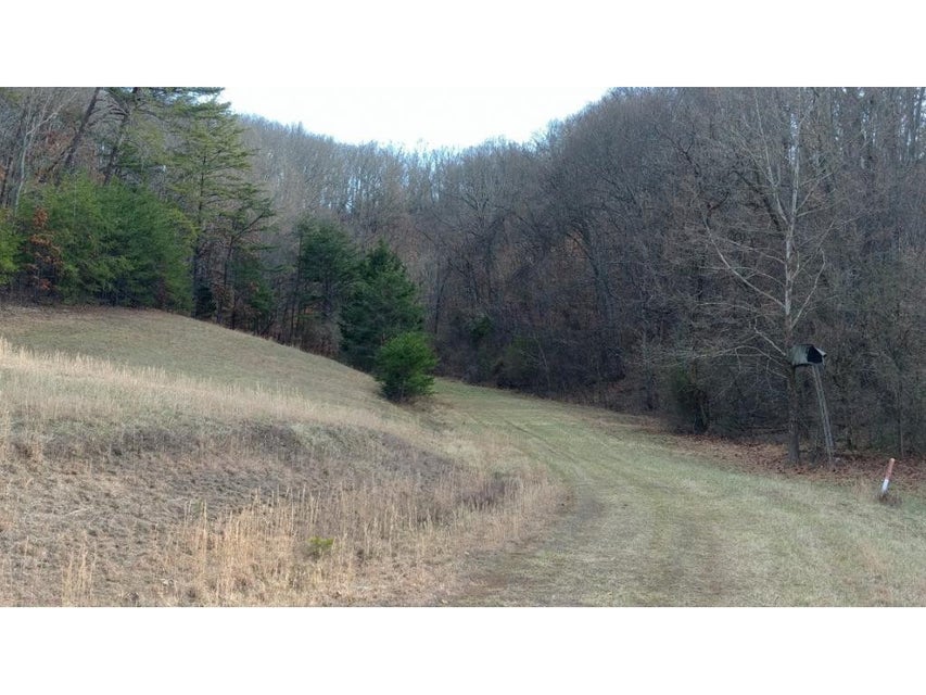Photo #6: Tbd Hwy 160
