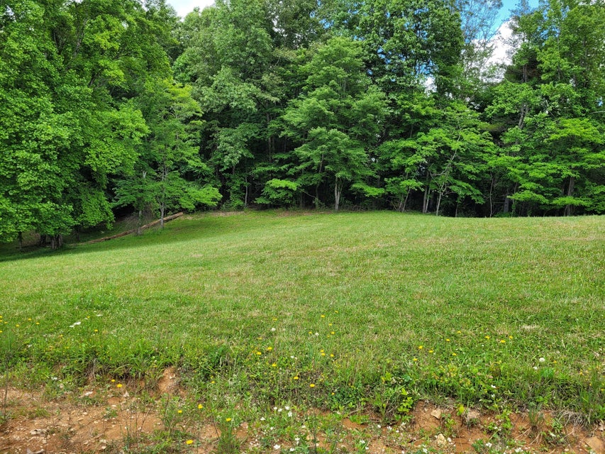 Photo #5: 1303 Pinecrest St Street
