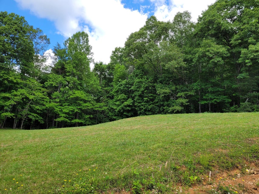 Photo #7: 1303 Pinecrest St Street