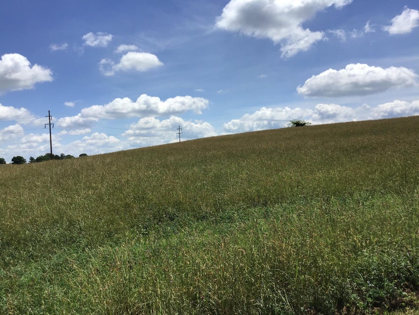 Photo #7: 18.77 +/- Forest Road