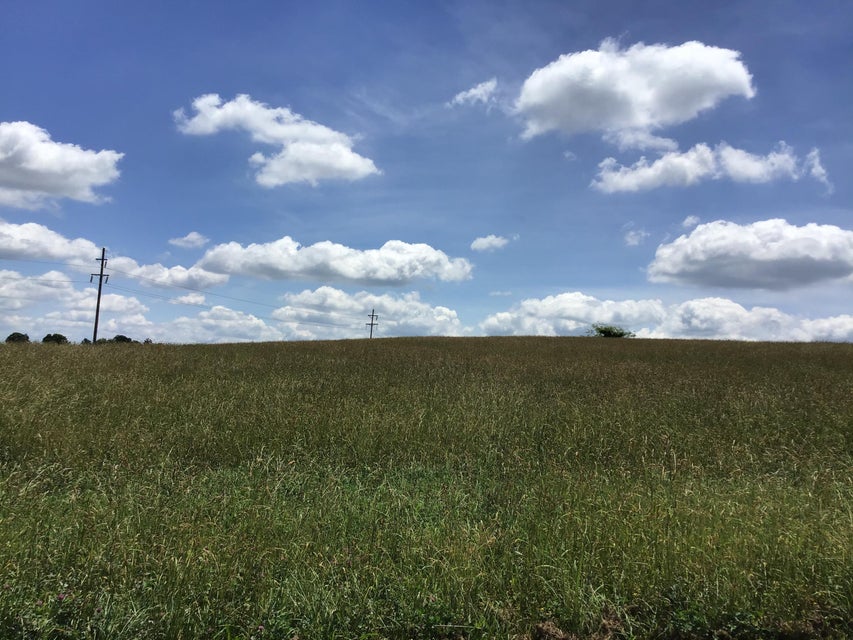 Photo #8: 18.77 +/- Forest Road
