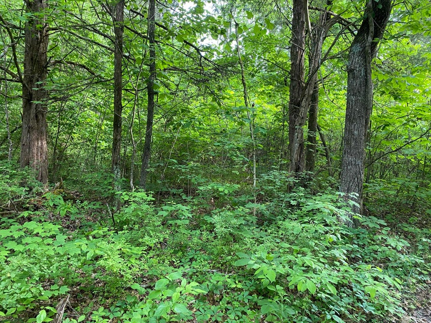 Photo #9: Tbd Cedar Rock Drive