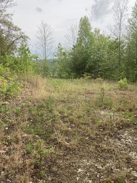 Photo #5: Tbd Tulip Poplar Trail Extension