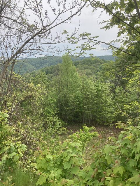 Photo #2: Tbd Tulip Poplar Trail Extension