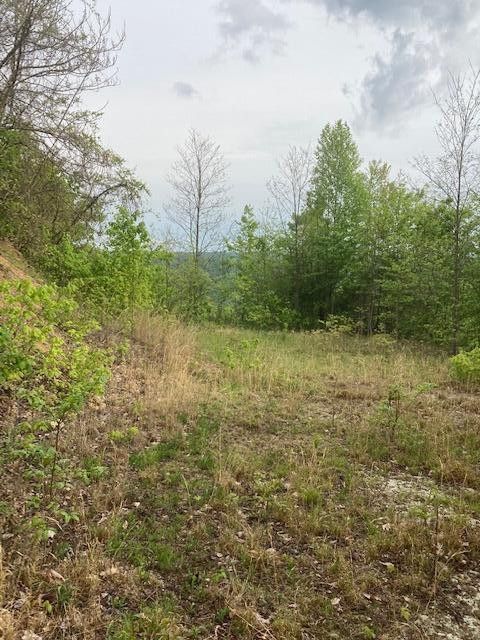 Photo #6: Tbd Tulip Poplar Trail Extension