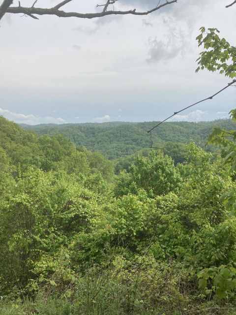 Photo #1: Tbd Tulip Poplar Trail Extension