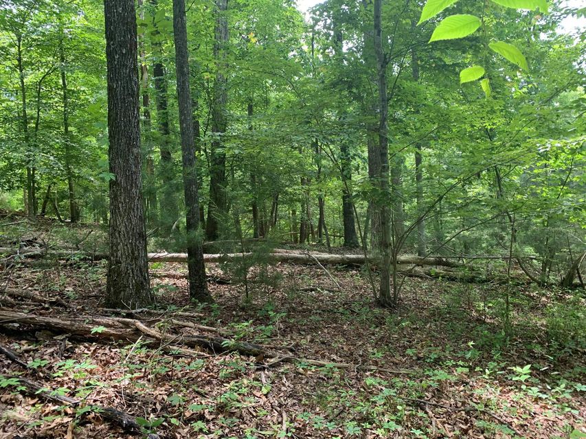 Photo #2: N/A Wolfe Creek Road