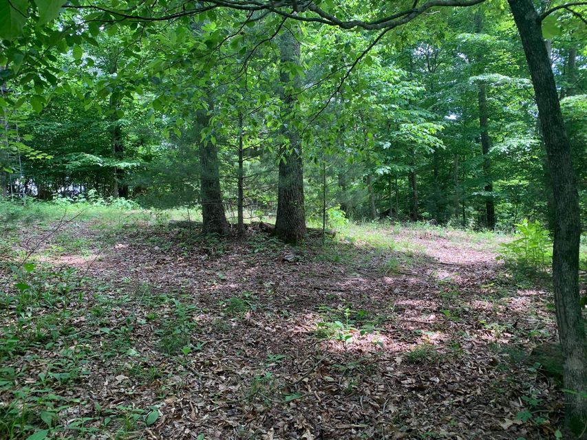 Photo #6: N/A Wolfe Creek Road