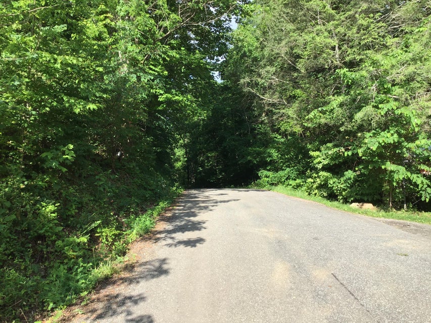 Photo #7: N/A Wolfe Creek Road