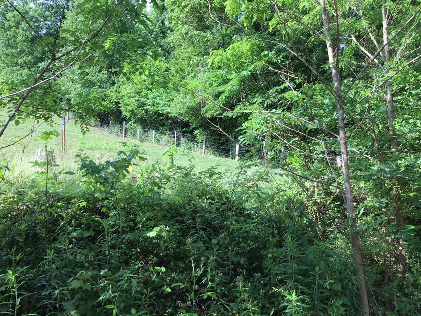 Photo #8: N/A Wolfe Creek Road