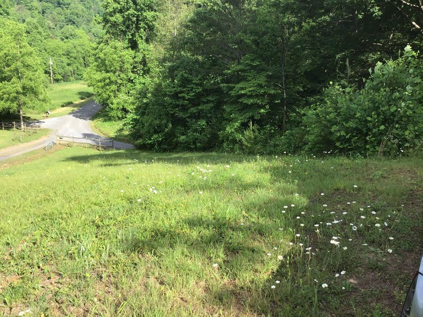 Photo #11: N/A Wolfe Creek Road