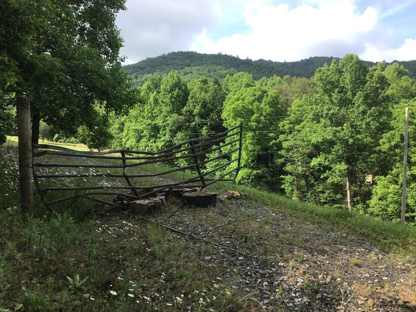 Photo #12: N/A Wolfe Creek Road