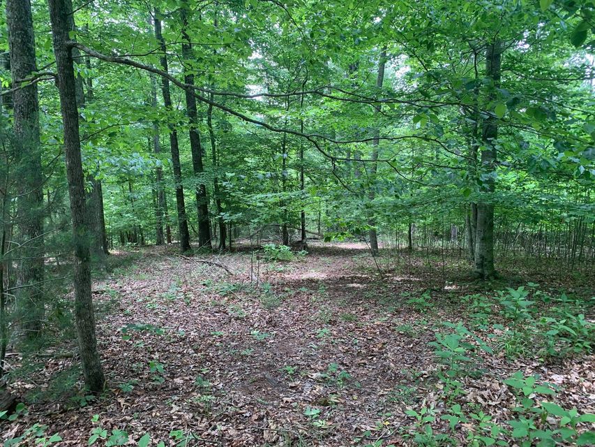 Photo #14: N/A Wolfe Creek Road