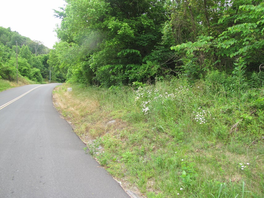 Photo #2: 0 Southwood Drive
