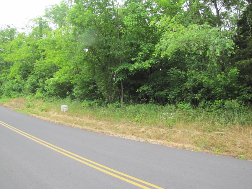 Photo #3: 0 Southwood Drive