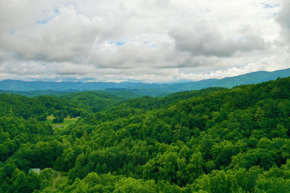 Photo #2: Tbd Bull Mtn Road