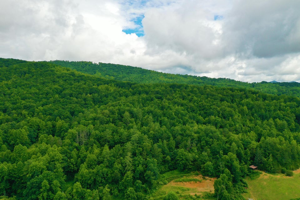 Photo #3: Tbd Bull Mtn Road
