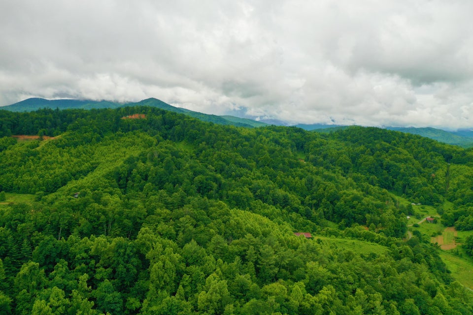 Photo #4: Tbd Bull Mtn Road