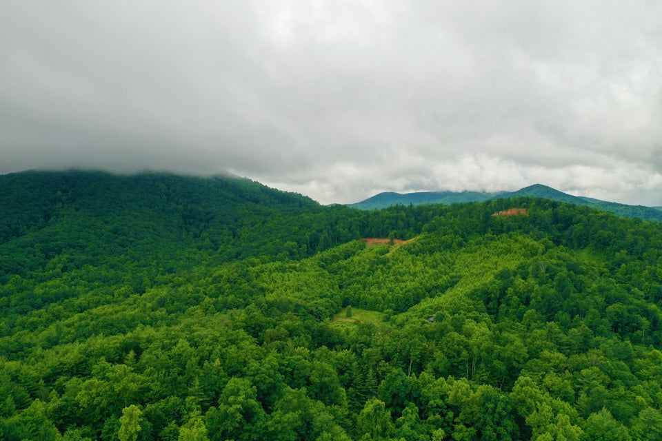 Photo #5: Tbd Bull Mtn Road