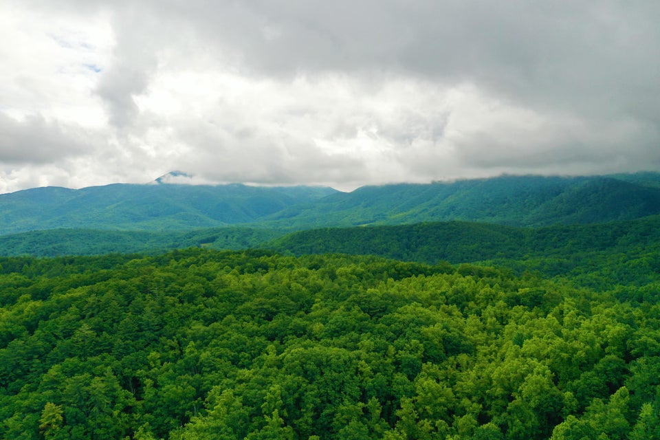 Photo #6: Tbd Bull Mtn Road