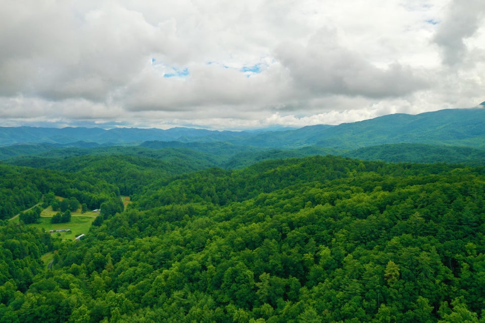 Photo #7: Tbd Bull Mtn Road
