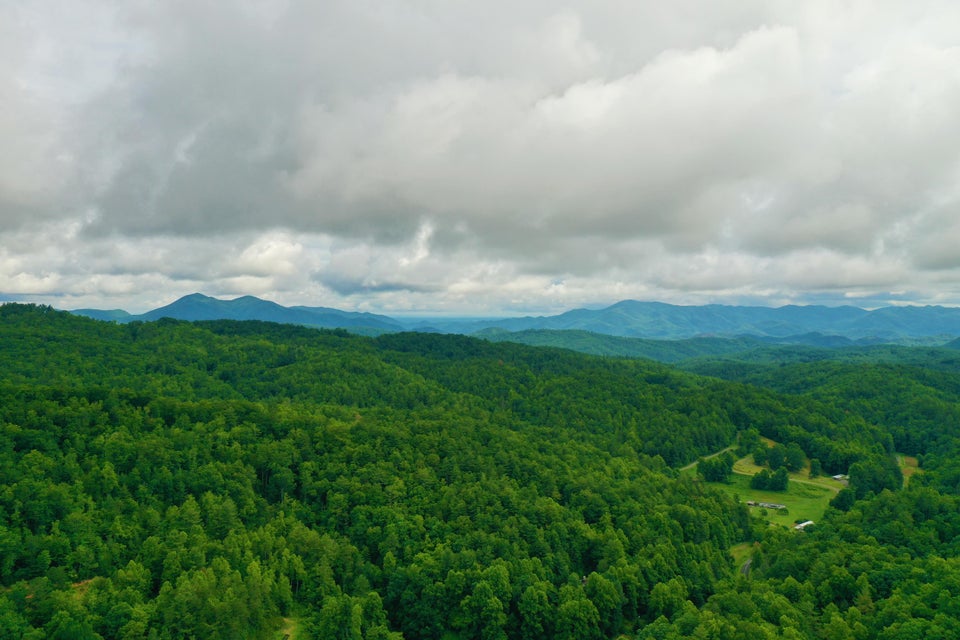 Photo #8: Tbd Bull Mtn Road