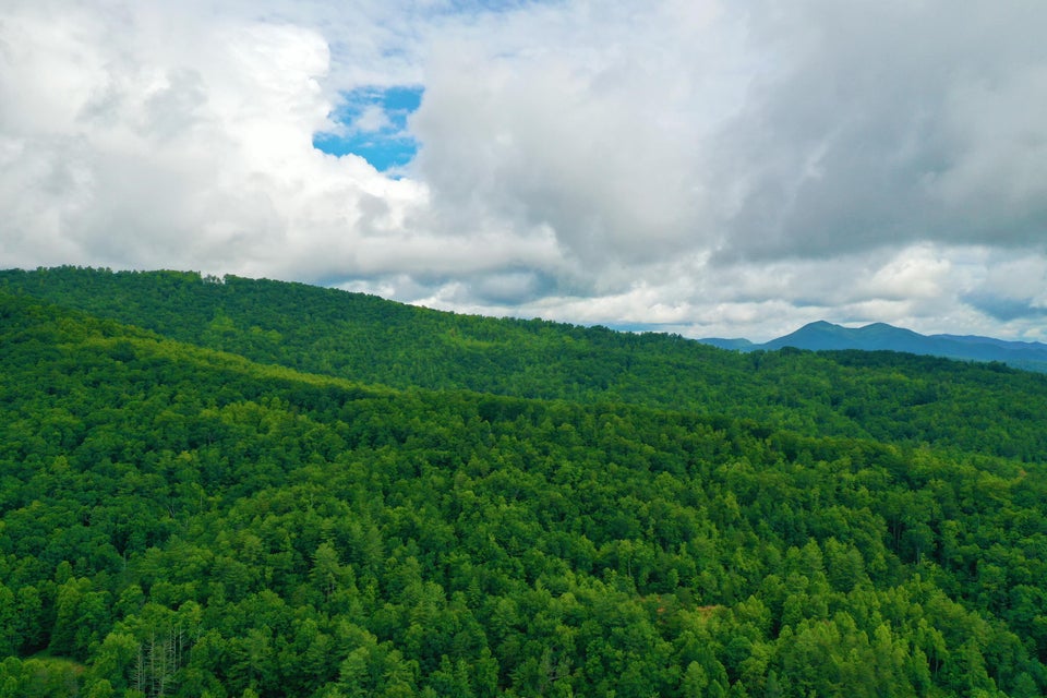 Photo #9: Tbd Bull Mtn Road