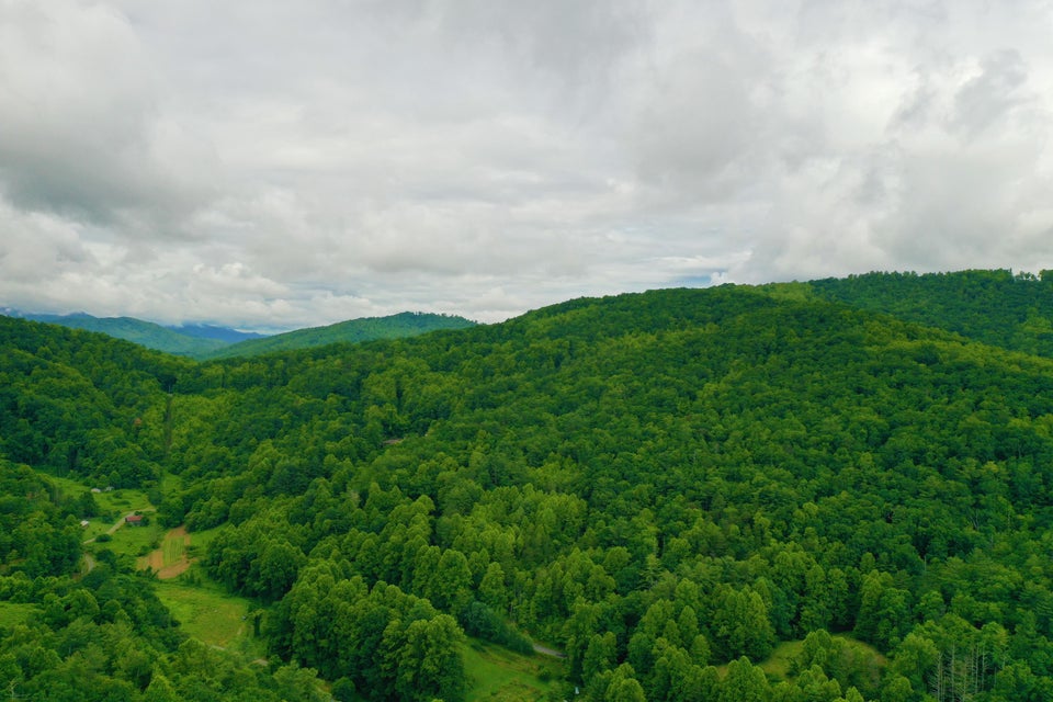 Photo #10: Tbd Bull Mtn Road