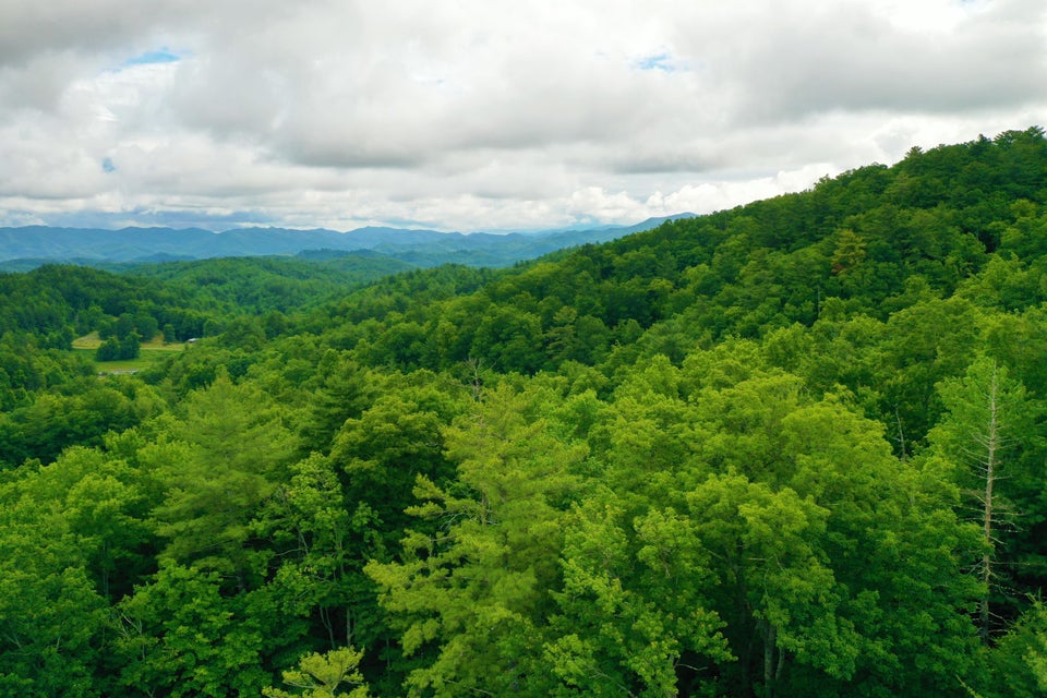Photo #11: Tbd Bull Mtn Road