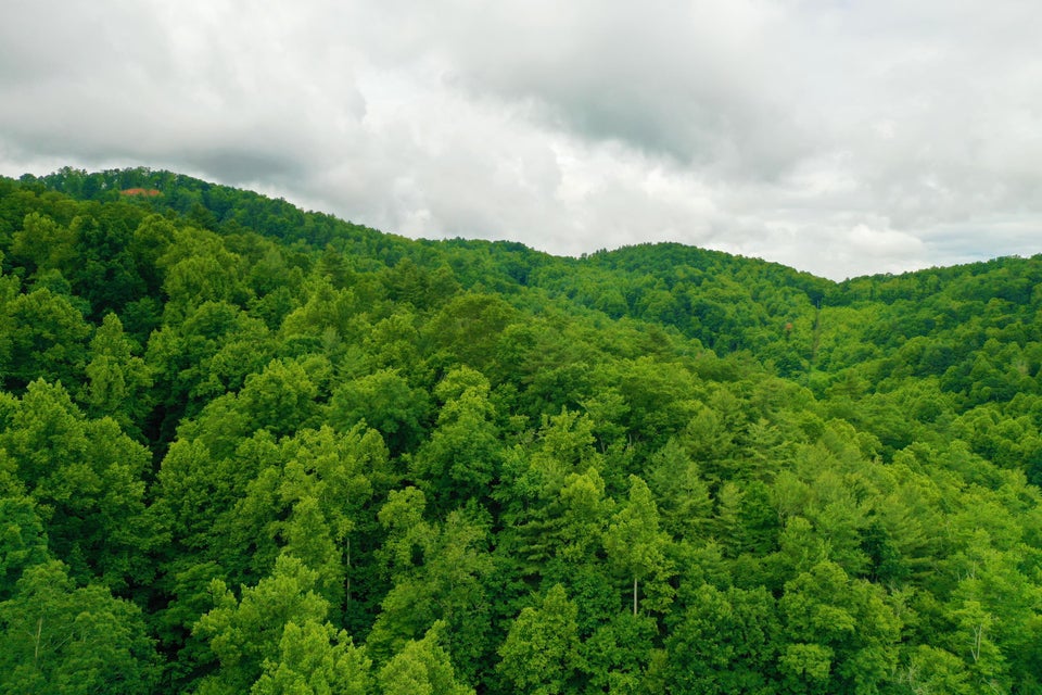 Photo #14: Tbd Bull Mtn Road