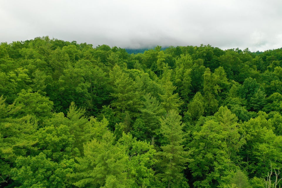Photo #15: Tbd Bull Mtn Road