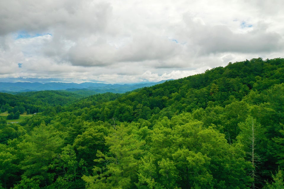 Photo #16: Tbd Bull Mtn Road