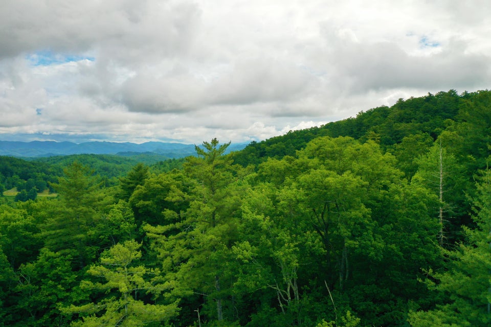 Photo #17: Tbd Bull Mtn Road