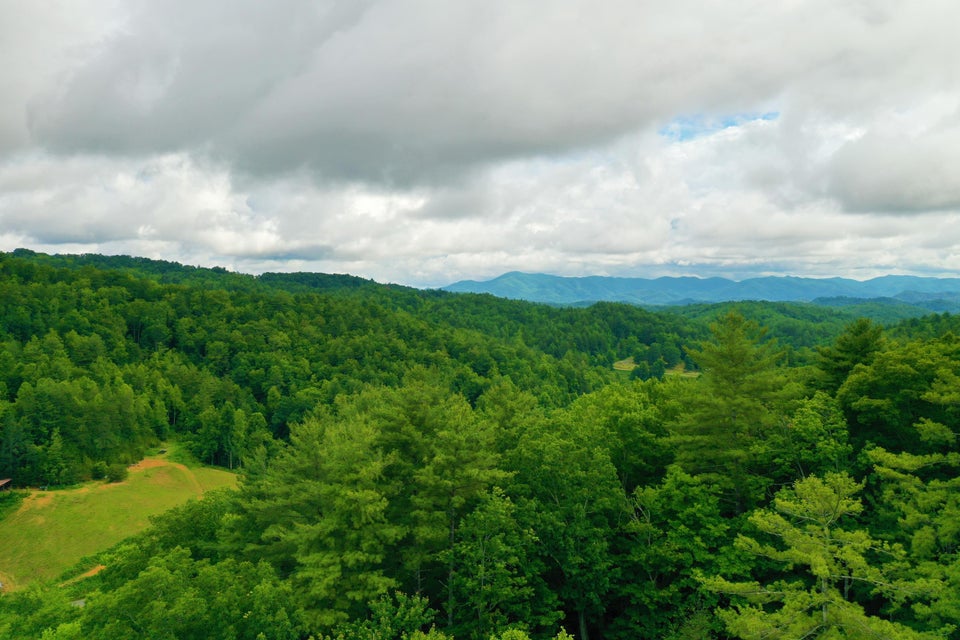 Photo #18: Tbd Bull Mtn Road