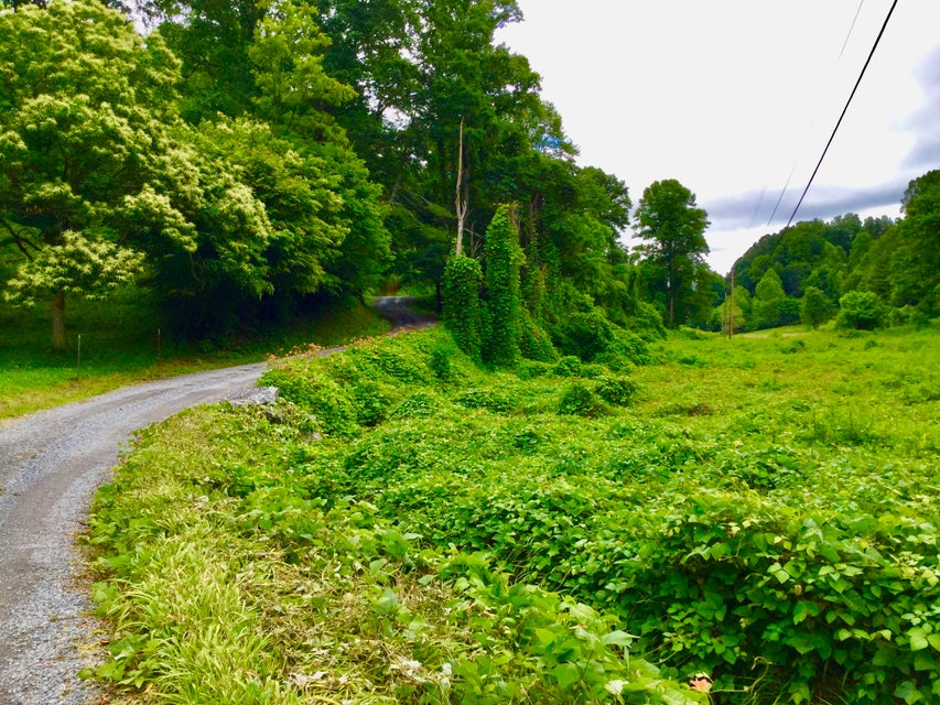 Photo #1: Tbd Bull Mtn Road