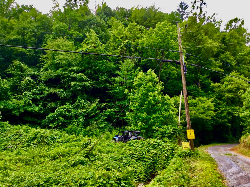 Photo #21: Tbd Bull Mtn Road