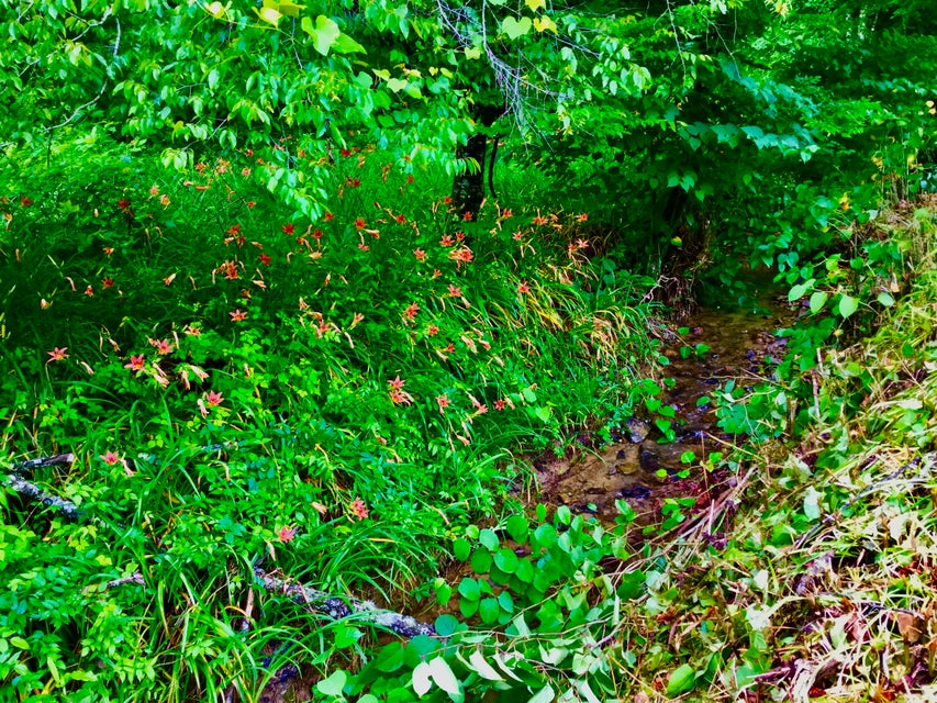 Photo #22: Tbd Bull Mtn Road