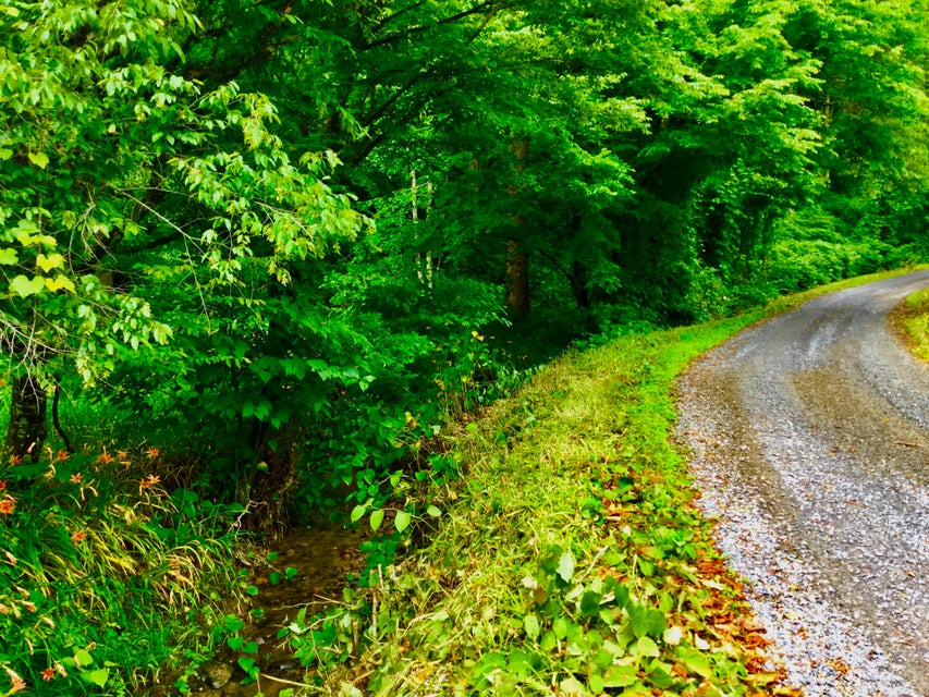 Photo #23: Tbd Bull Mtn Road