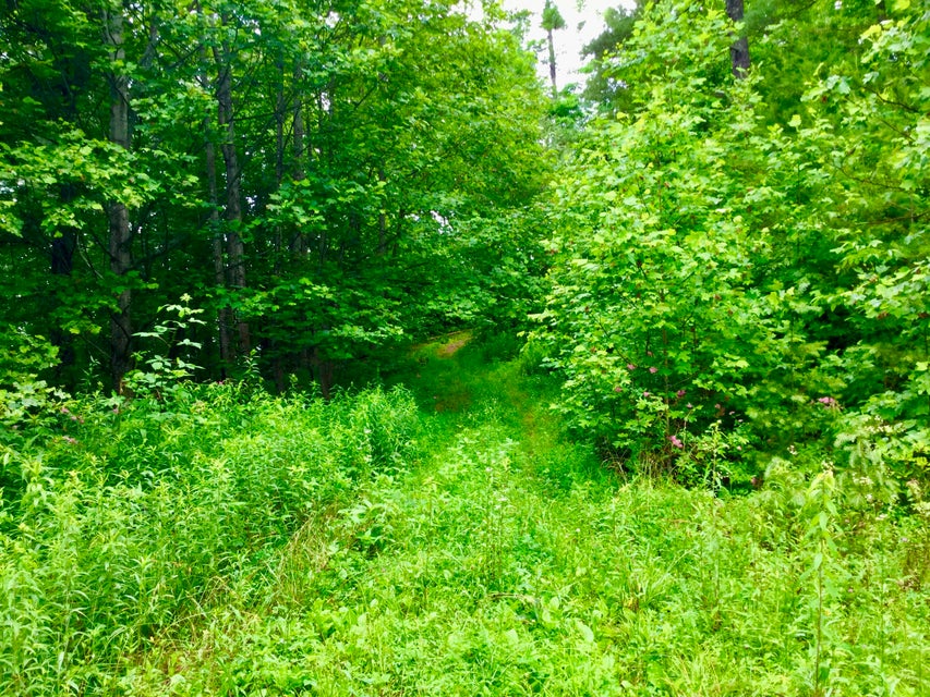 Photo #24: Tbd Bull Mtn Road