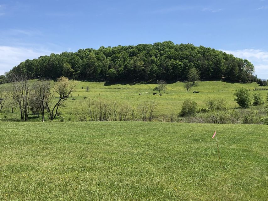 Photo #1: Tbd Bradley Creek Road