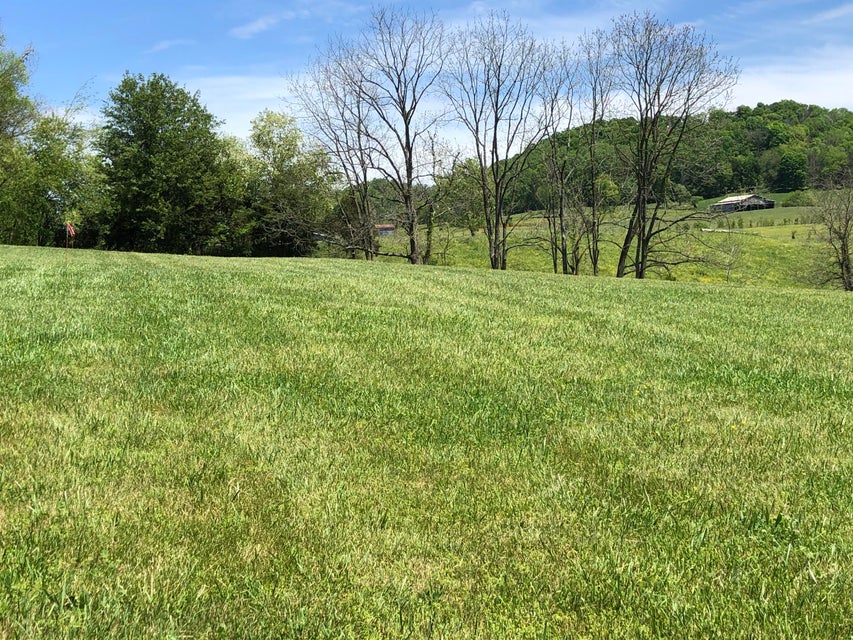 Photo #3: Tbd Bradley Creek Road
