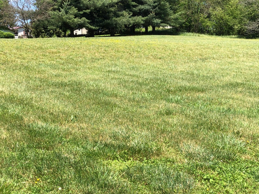 Photo #7: Tbd Bradley Creek Road