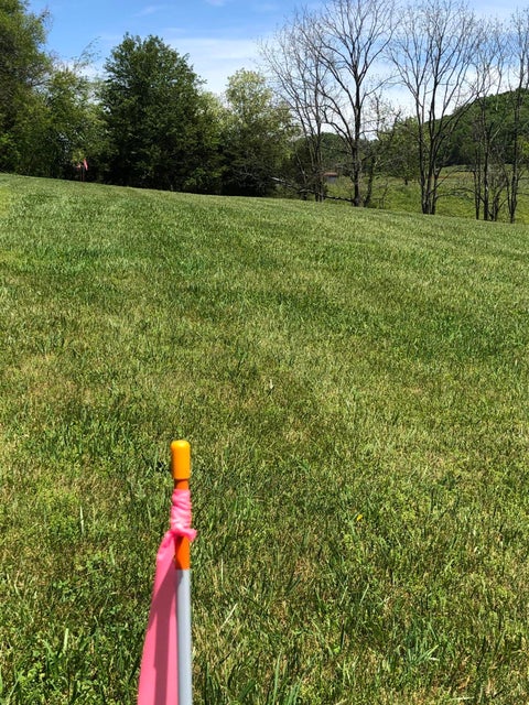 Photo #2: Tbd Bradley Creek Road