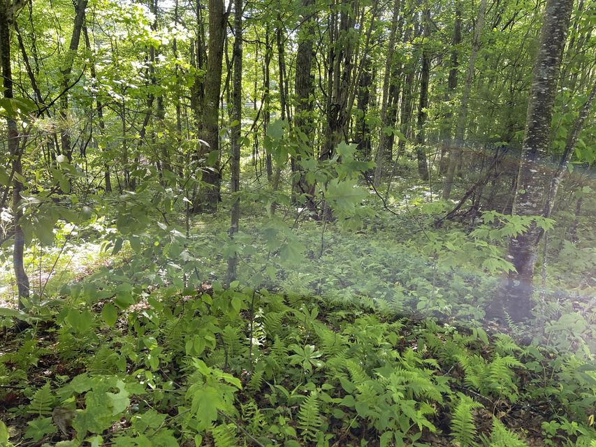 Photo #2: Tbd Cross Mtn Road