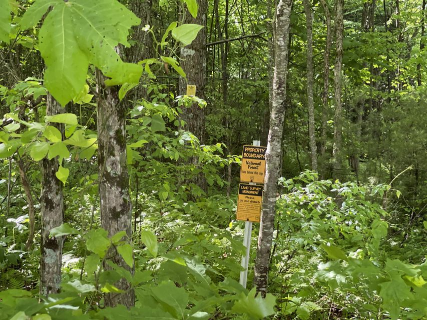 Photo #3: Tbd Cross Mtn Road